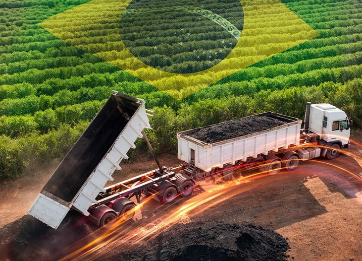 Turfa e matéria orgânica ganham espaço na agricultura brasileira